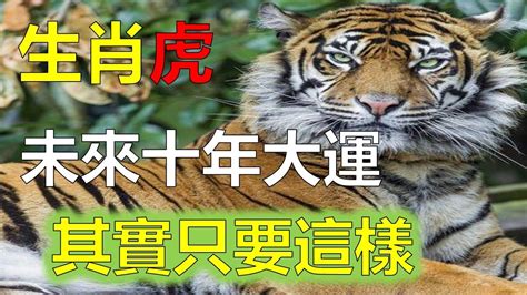 1974屬虎運勢|1974年属虎人2023年运势及运程 74年49岁生肖虎2023年每月运。